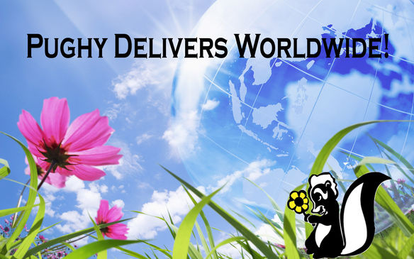 world - 