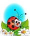Flowers For Kids