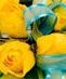 Corsages and Boutonnieres