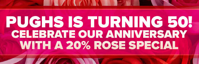 Rose special 50 Years
