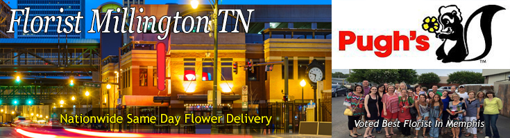Millington Flower Shop - Florist Millington TN, Pugh' s Flowers