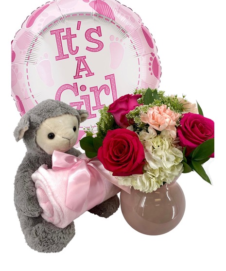 Baby Girl Package