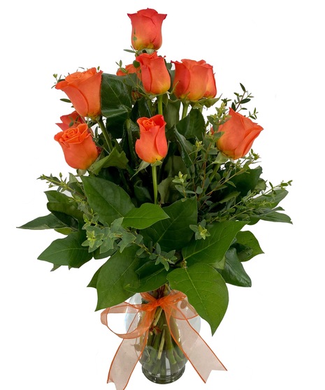 Dozen Orange Roses