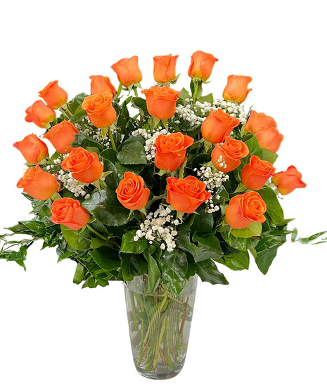 2 Dozen Orange Roses
