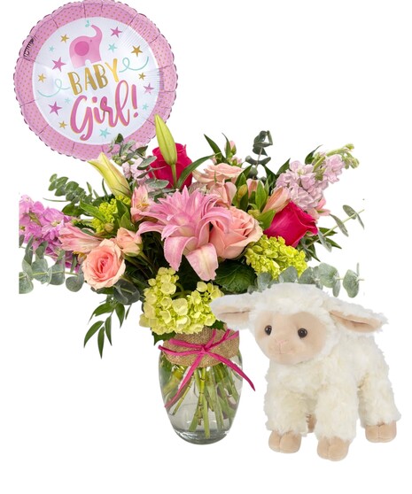 Baby Girl's Lamb Gift