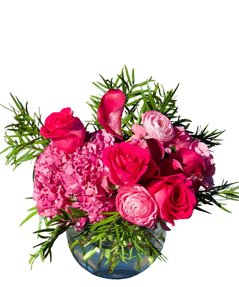 Ranunculus Dream