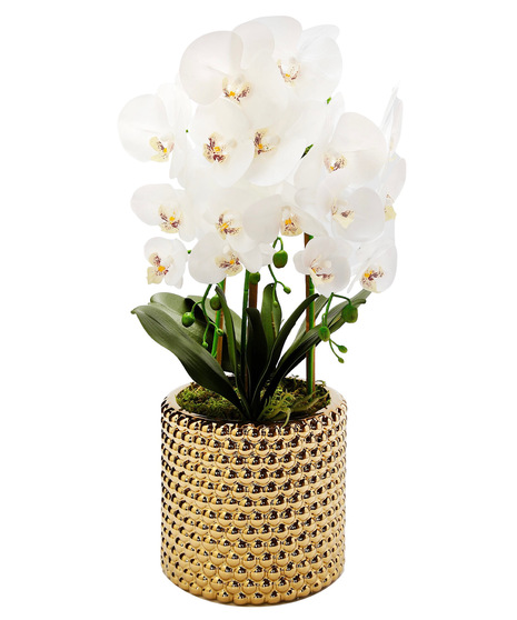 White Orchids in Gold Hammered Pot
