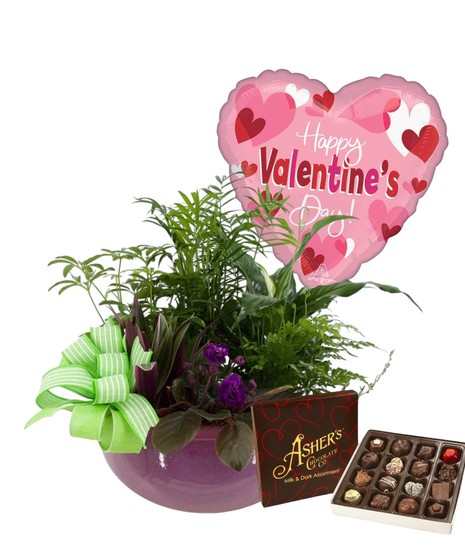 Chocolate Garden Package
