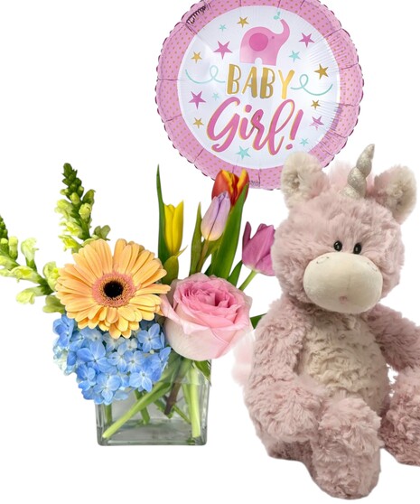 Baby Girl Unicorn Package