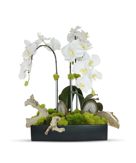 Triple Orchid in Rectangle with Agate
