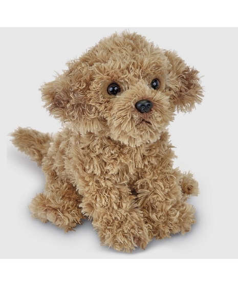 Doodles the Labradoodle