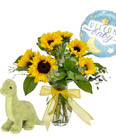 Welcome Baby Boy Package!
