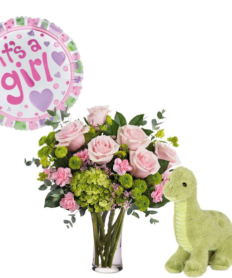 Welcome Baby Girl Package!