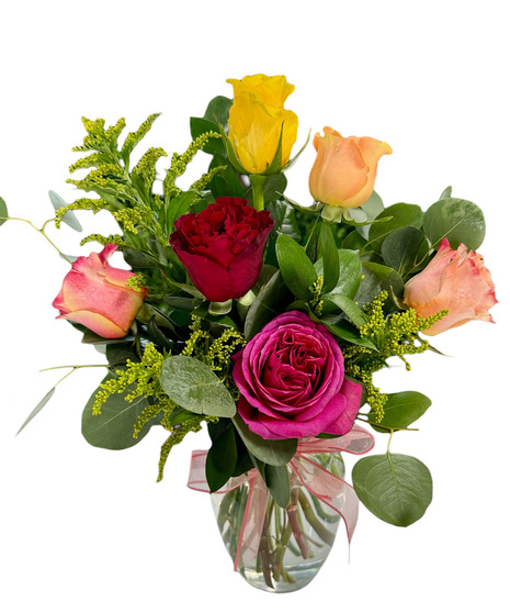 6 Mixed Roses