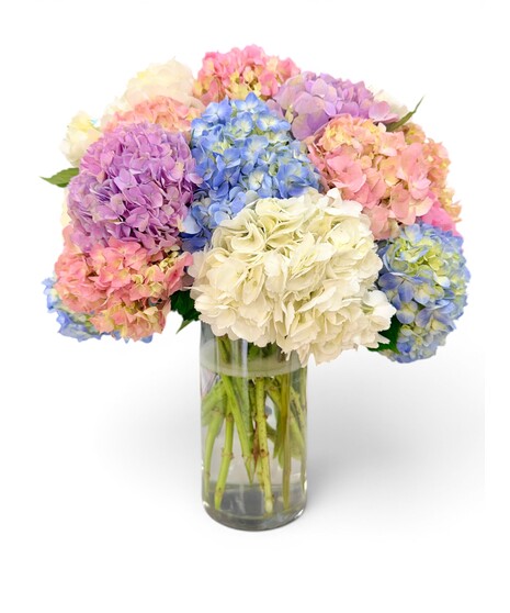 Luxe Hydrangea Garden