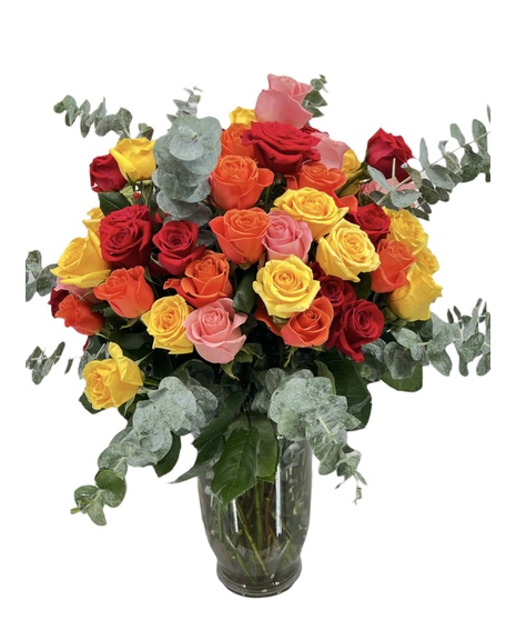 70 Mixed Roses!