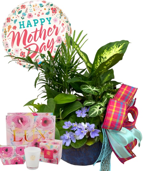 European Garden Candle Package