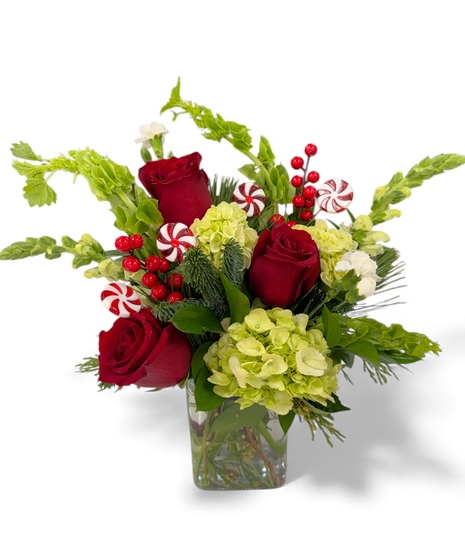 Candy Land Christmas