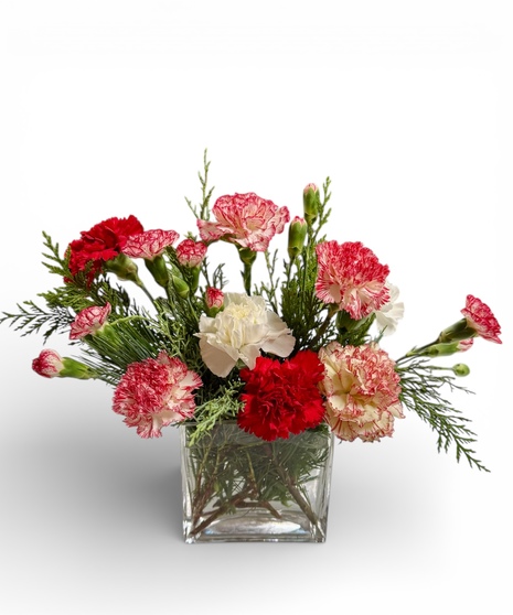 Christmas Carnations