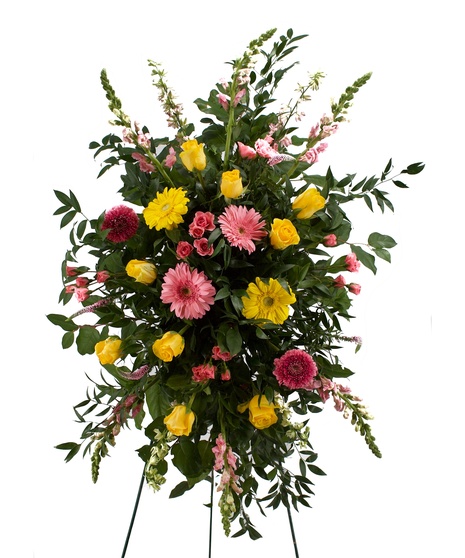 Pink and Yellow Spray