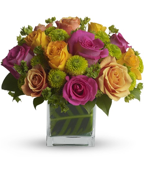 Sherbert Rose Cube