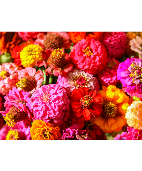 Loose Flower