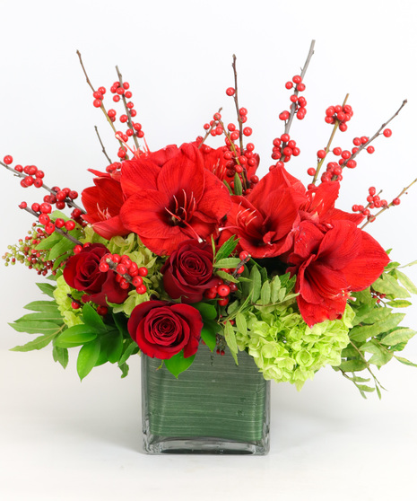 Amaryllis Cube