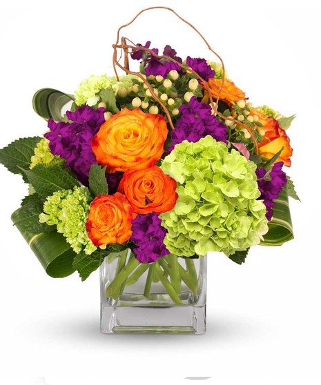 Hydrangea, Roses, Stock, Hypericum