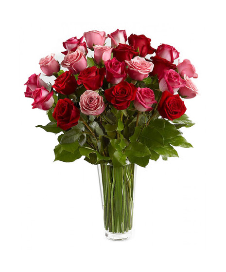 One Dozen Roses, Red Roses, Pink Roses