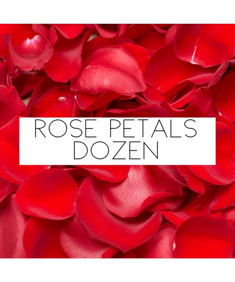 /image-photo/red-rose-petals-i