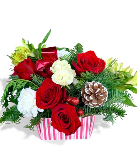 Candy Cane Christmas