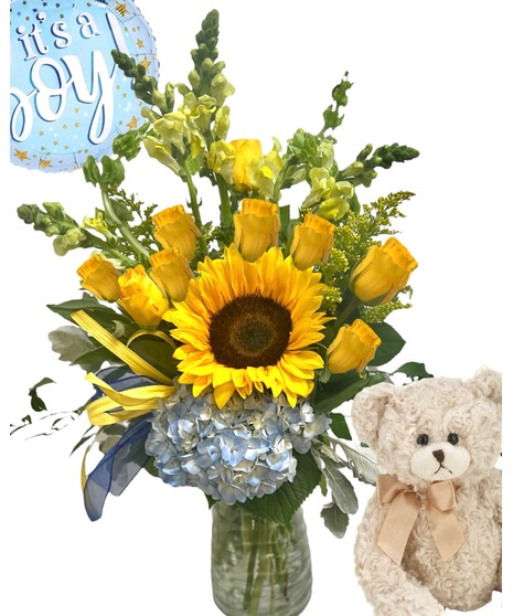 Baby Boy Surprise!