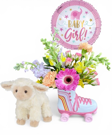 New Baby Roller Skate Package