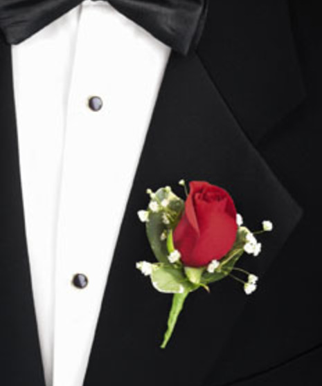 Single Red Rose Bout
