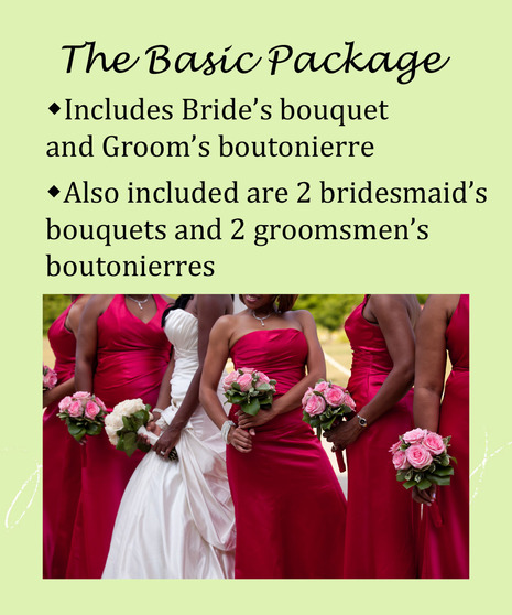 The Basic Package