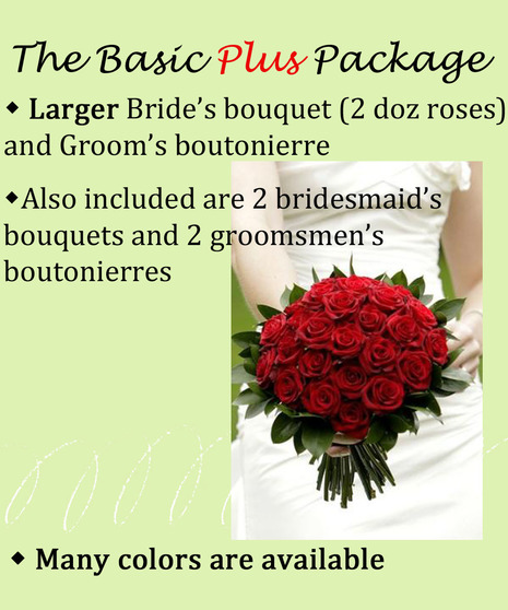 The Basic PLUS Package