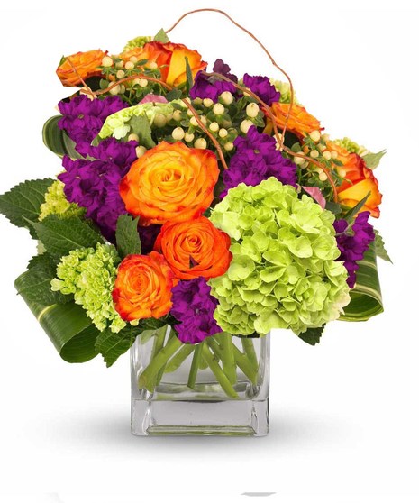 Hydrangea, Roses, Stock, Hypericum
