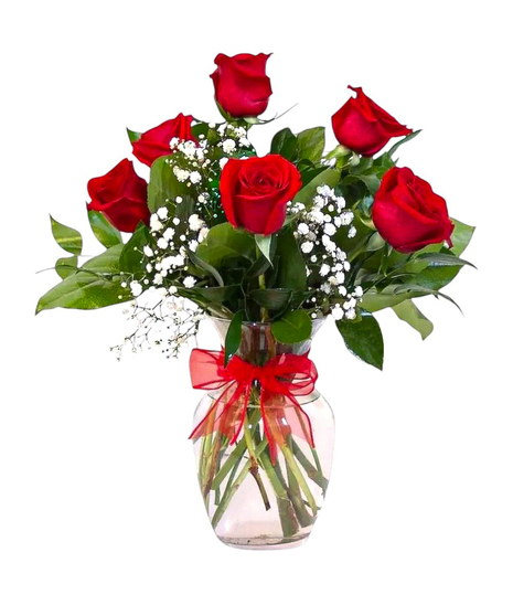 Half Dozen Red Roses