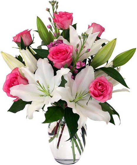 Petite Budget Roses