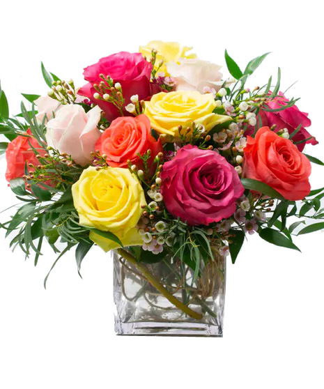 Colorful Roses Compact Style