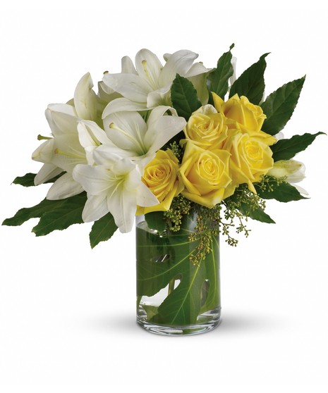 Get Well Gifts