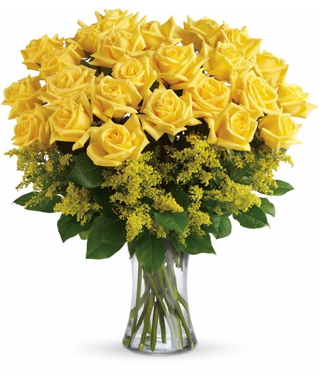 Yellow Roses