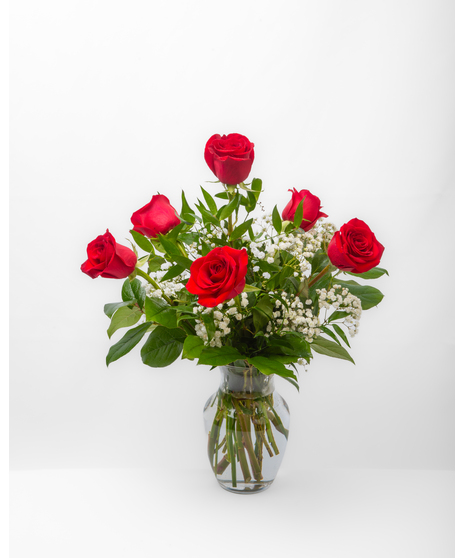Half Dozen Red Roses