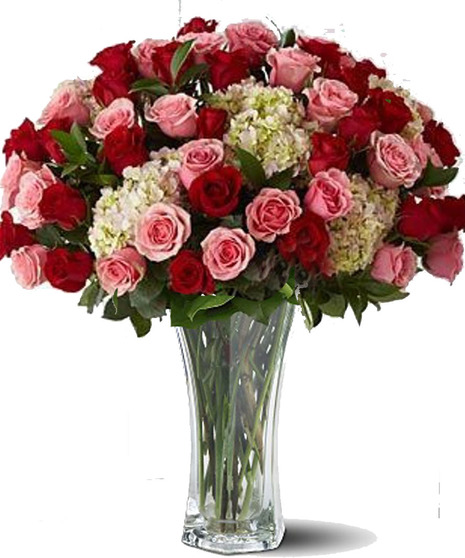 Rose Indulgence