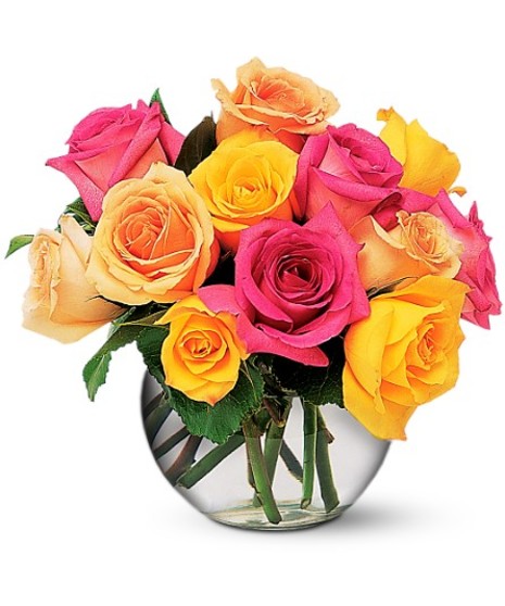 Mixed Color Roses
